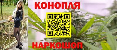 эйфоретик Малгобек