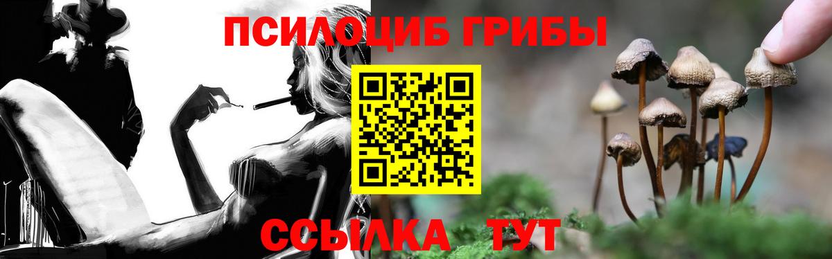 Галлюциногенные грибы мицелий Липецк